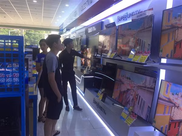 Kim ngạch xuất khẩu của Cộng hòa Séc sang Việt Nam tăng gần 33% ảnh 1