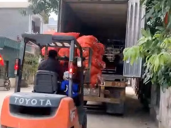 Hải Dương xuất bán 48 tấn càrốt trong ngày mùng Một Tết Tân Sửu ảnh 1