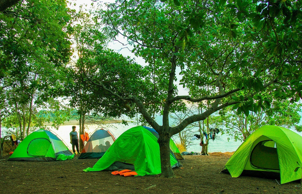 new88 - Khám Phá Bí Ẩn Đằng Sau Giấc Mơ Phản Chiếu Sự Thanh Khiết với Tự Do