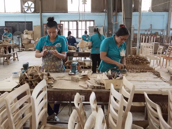 Tọa đàm về cơ hội hợp tác của doanh nghiệp Việt Nam tại Nga ảnh 1