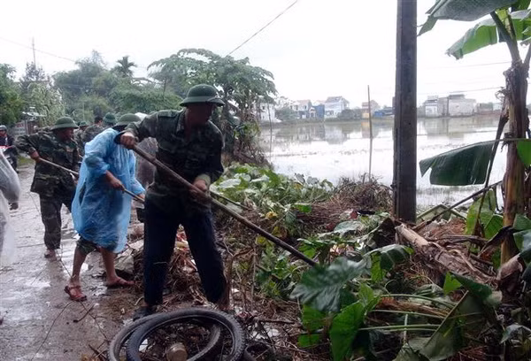 Thiệt hại do mưa lũ, Quảng Nam khẩn trương khôi phục vườn hoa Tết ảnh 1