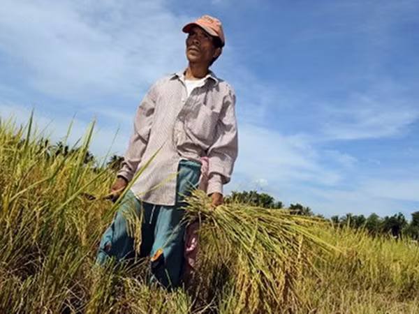 Philippines cân nhắc lời chào bán gạo của Thái Lan ảnh 1