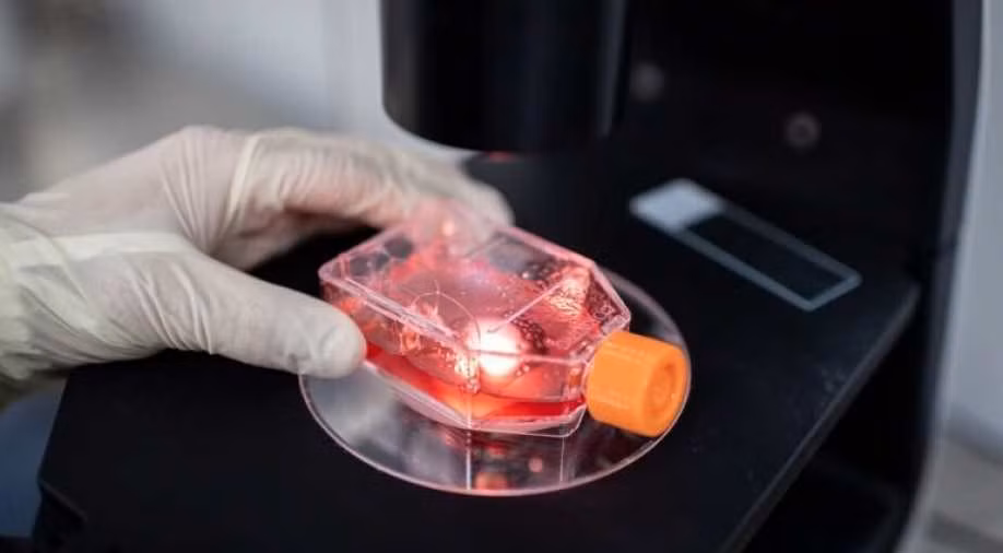 Kết quả thử nghiệm vắcxin của Trung Quốc và Italy cho kết quả khả quan ảnh 1