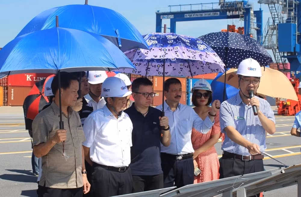 Thăm ‘đảo cây Trường Sa’ và công trình ‘vượt thời đại’ ở Hải Phòng ảnh 4