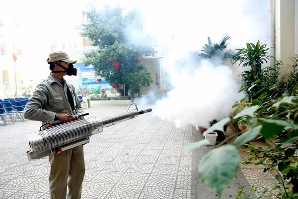 Thành phố Hồ Chí Minh: 1 người tử vong do sốt xuất huyết ảnh 1