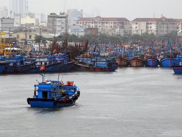 Quảng Ninh đến Bình Định phòng tránh vùng áp thấp Bắc Biển Đông ảnh 1