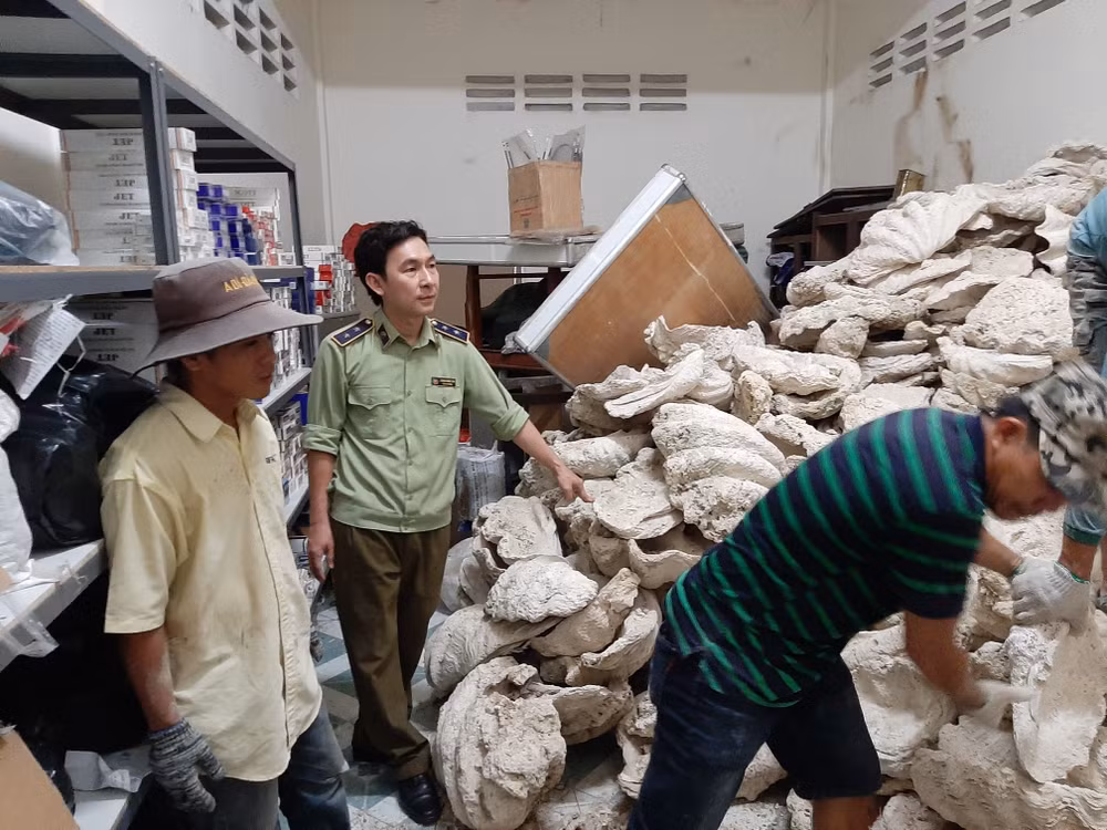 Chuyển lô tang vật 21 tấn vỏ trai tai tượng khổng lồ cho bảo tàng ảnh 1