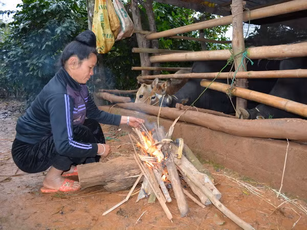 Không khí lạnh liên tục tăng cường tại Bắc Bộ đến cuối tháng 11 ảnh 1