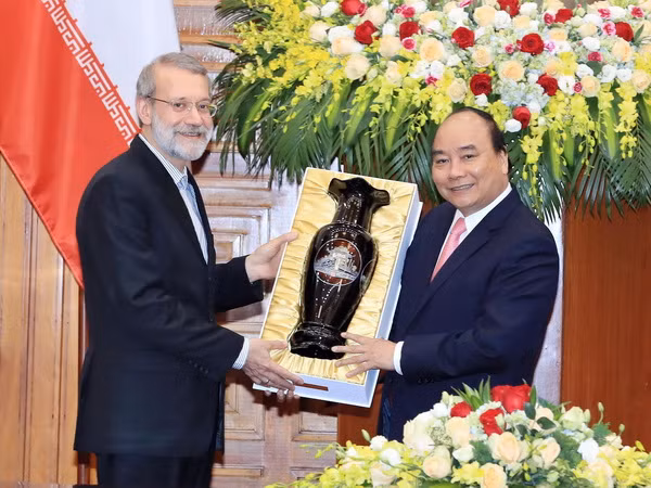 Việt Nam luôn coi trọng quan hệ hữu nghị truyền thống với Iran ảnh 3