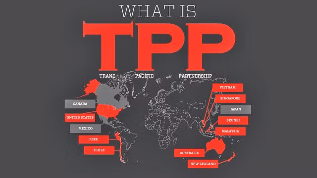Học giả Mỹ gợi ý Nhật Bản nên đảm nhiệm vai trò dẫn dắt TPP ảnh 1