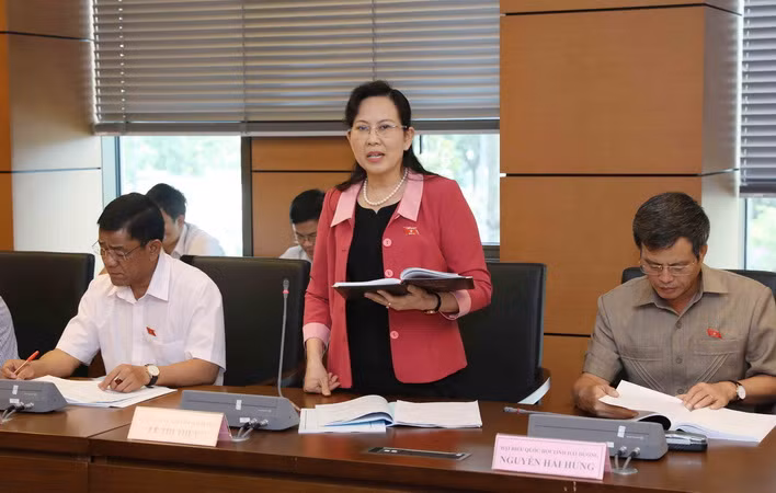 Không dùng ngân sách để xử lý nợ xấu của các tổ chức tín dụng ảnh 1