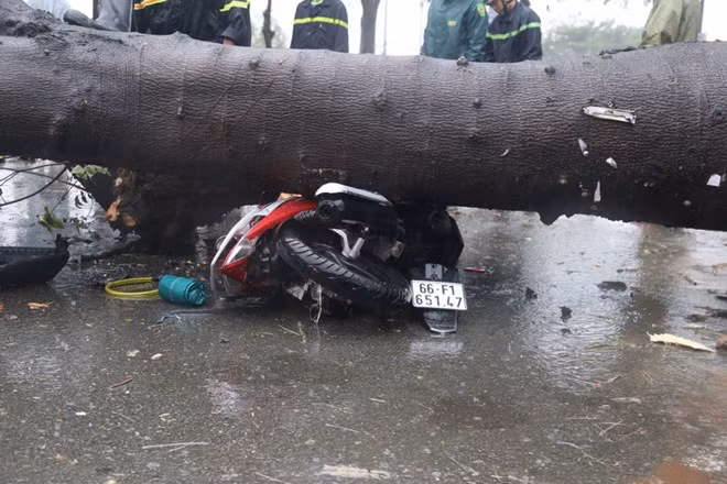 Bão số 9 gây nhiều thiệt hại tại các địa phương, đã có 1 người chết ảnh 1