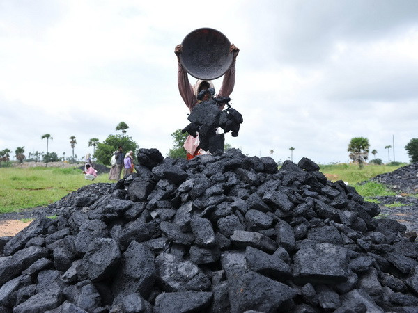 Than đá - một dạng "vàng đen"