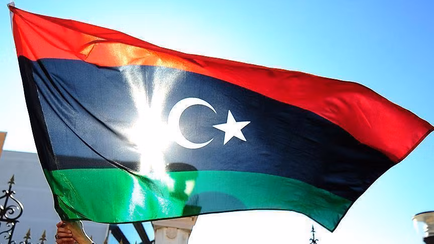 Thổ Nhĩ Kỳ khẳng định hỗ trợ dành cho chính phủ Libya ảnh 1