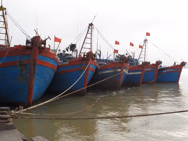 Các địa phương chạy đua chủ động phòng chống siêu bão ảnh 1