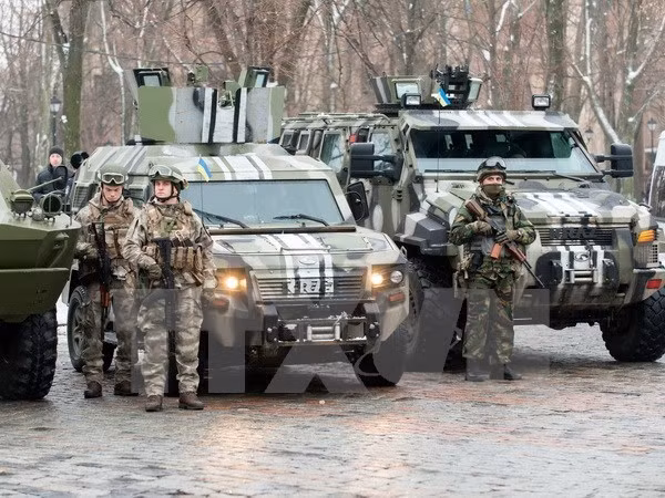 Ukraine thừa nhận việc nhận vũ khí sát thương của nước ngoài ảnh 1