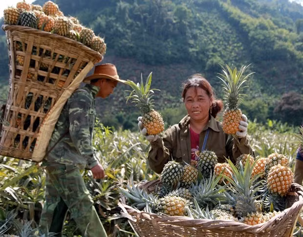 Khi ý Đảng đi vào lòng dân: Điểm sáng trong chính sách giảm nghèo ảnh 2