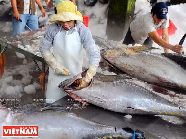 Phú Yên hội tụ nhiều tiềm năng về kinh tế biển và du lịch ảnh 3
