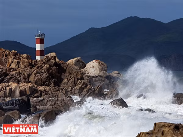 Phú Yên hội tụ nhiều tiềm năng về kinh tế biển và du lịch ảnh 11