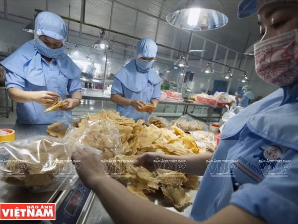 Phú Yên hội tụ nhiều tiềm năng về kinh tế biển và du lịch ảnh 7