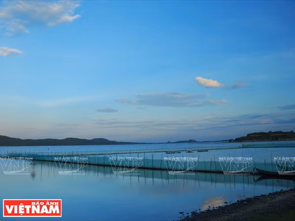 Phú Yên hội tụ nhiều tiềm năng về kinh tế biển và du lịch ảnh 12