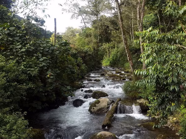 UNESCO công nhận khu dự trữ sinh quyển mới tại Costa Rica ảnh 1