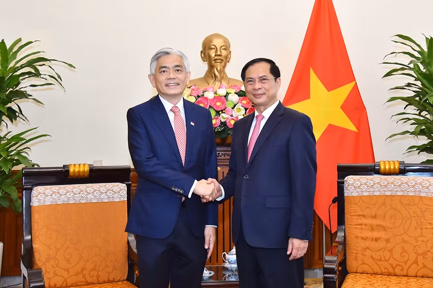 Việt Nam là đối tác quan trọng của Singapore ở khu vực ảnh 1