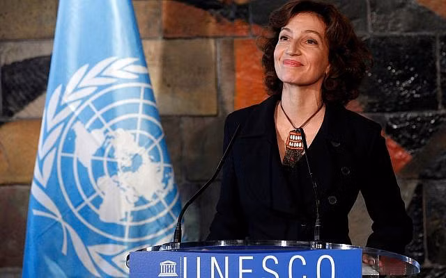 Đại hội đồng UNESCO khai mạc phiên họp thứ 41 tại Paris ảnh 1