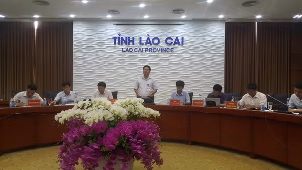 Lào Cai: Công bố nguyên nhân cây trồng bị táp lá, dứa thối ở Bản Lầu ảnh 1