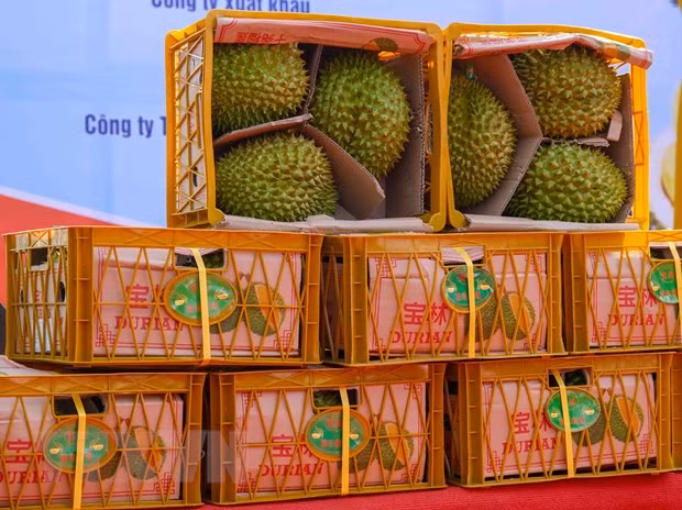 Kết nối giao thương nông lâm thủy sản Việt Nam-Trung Quốc qua Vân Nam ảnh 2