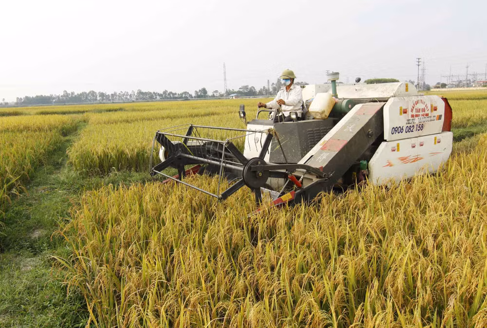 LHQ hỗ trợ Việt Nam giảm phát thải khí nhà kính nông nghiệp ảnh 1