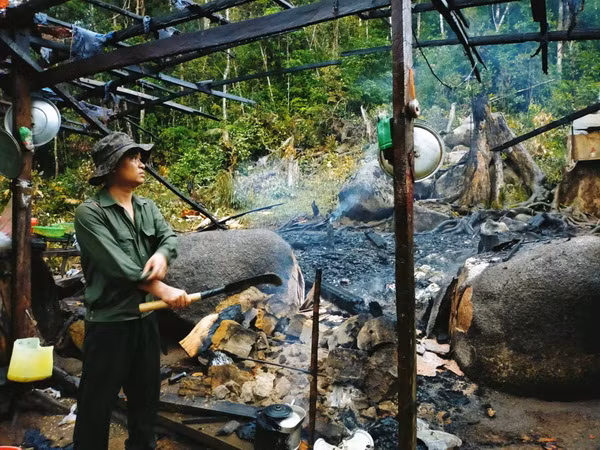 Đắk Lắk: Làm rõ việc chốt bảo vệ rừng cháy rụi nghi do lâm tặc đốt ảnh 1