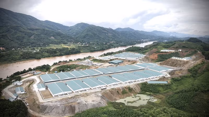 Yên Bái: Phạt gần 300 triệu đồng với trang trại nuôi lợn gây ô nhiễm ảnh 1
