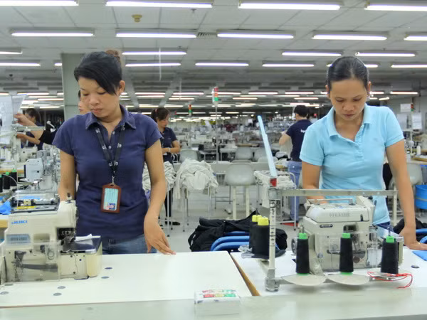 Các DN ở Bình Dương cảm kích về việc hỗ trợ của Chính phủ ảnh 1