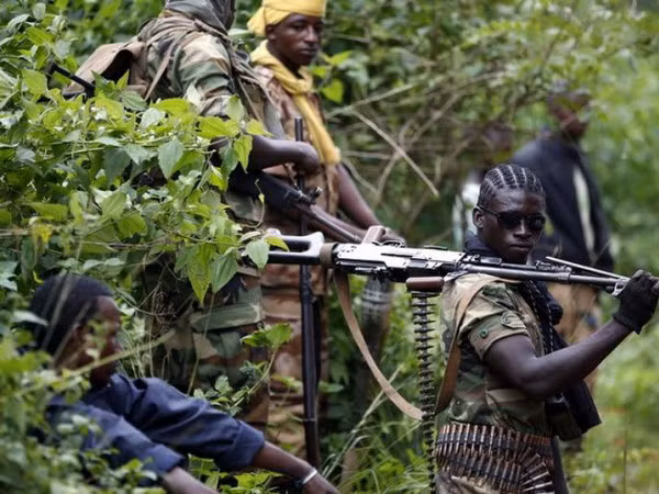 Phiến quân Hồi giáo Uganda sát hại 22 người ở CHDC Congo ảnh 1