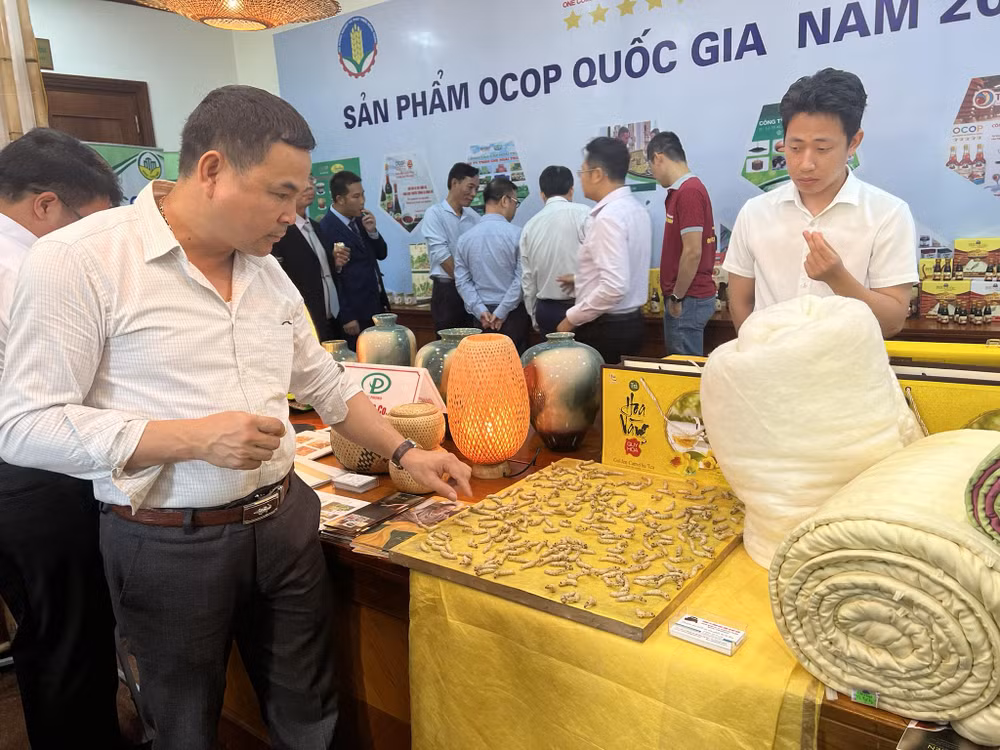 Phát triển sản phẩm OCOP: Không để mai một, mất thương hiệu đặc trưng ảnh 2