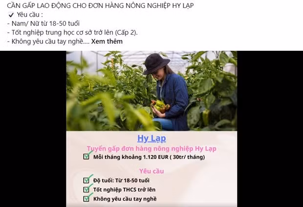 Thêm 3 công ty được chuẩn bị nguồn lao động đi làm việc tại Hy Lạp ảnh 2