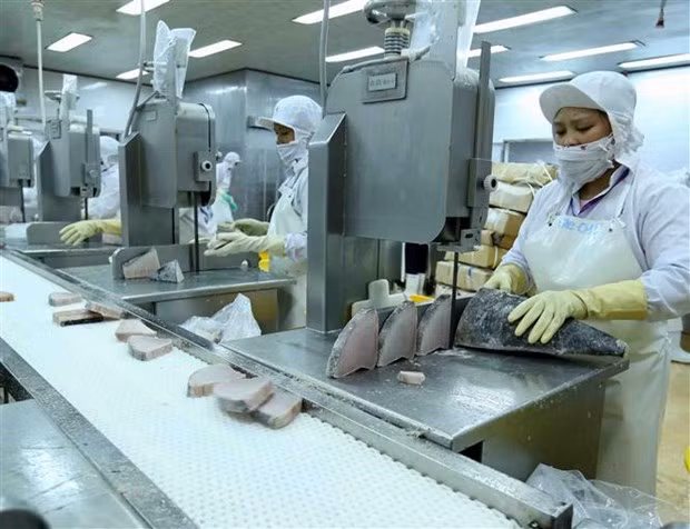 Ngành thủy sản linh hoạt thích nghi điều kiện mới để tiêu thụ sản phẩm ảnh 1