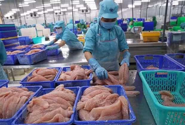 Ngành thủy sản linh hoạt thích nghi điều kiện mới để tiêu thụ sản phẩm ảnh 2