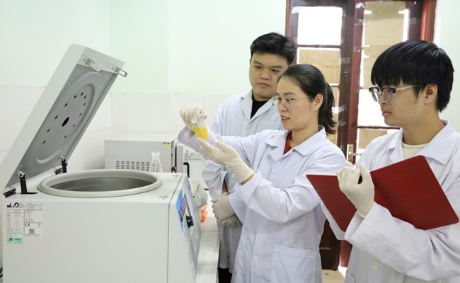 Phó Giáo sư-Tiến sỹ Nguyễn Thúy Chinh và nhóm nghiên cứu. (Nguồn: Viện Hàn lâm Khoa học và Công nghệ Việt Nam)
