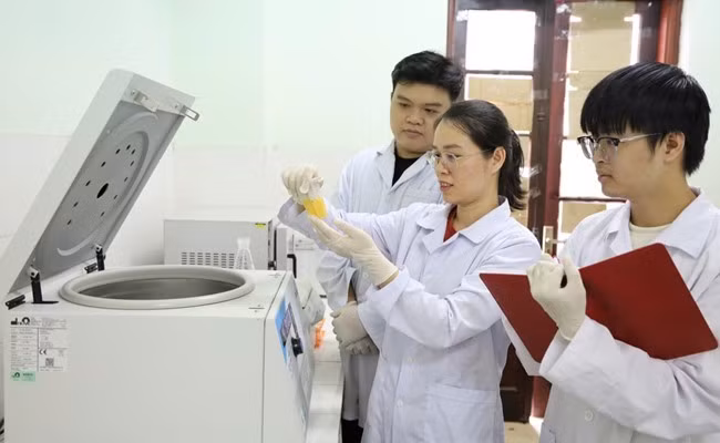 Ảnh minh họa. (Nguồn: Viện Hàn lâm Khoa học và Công nghệ Việt Nam)