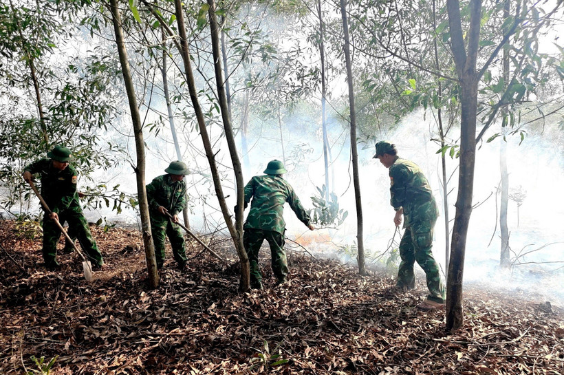 Lực lượng chức năng thực hiện các biện pháp chữa cháy rừng. (Ảnh: TTXVN phát)