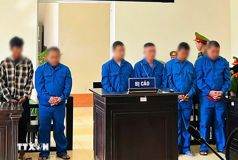 Các bị cáo tại phiên tòa xét xử. (Ảnh: TTXVN phát)