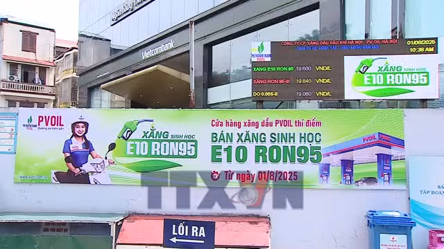 Từ 1/6, xăng sinh học E10 chính thức được phân phối trên toàn quốc