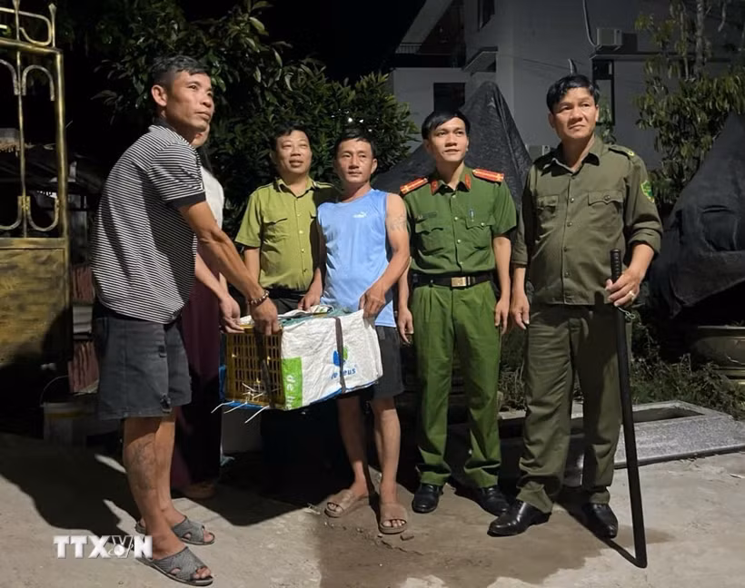 Người dân bàn giao cá thể trăn hoang dã nặng 9kg cho các lực lượng chức năng. (Ảnh: TTXVN phát)