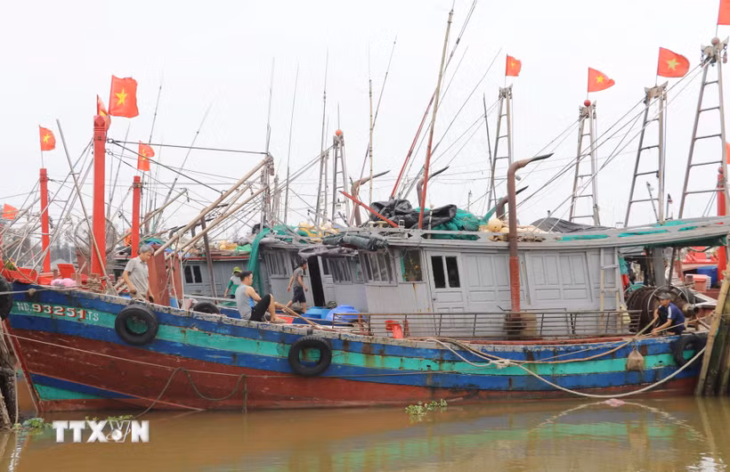 Dù đối mặt với nhiều khó khăn do giá nguyên liệu tăng, phần lớn ngư dân xã Rạng Đông, tỉnh Ninh Bình, vẫn nỗ lực duy trì hoạt động khai thác. (Ảnh: Thùy Dung/TTXVN)