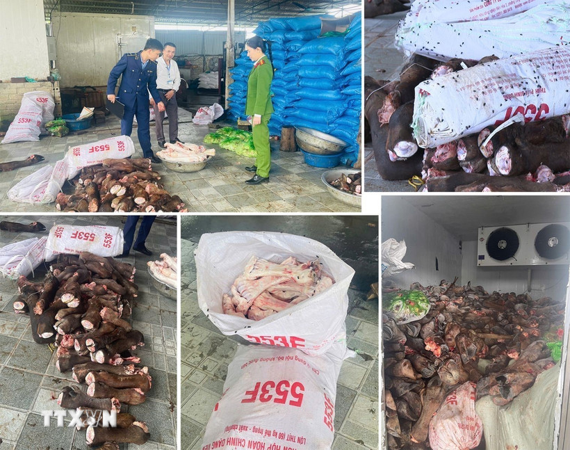 Làm việc với lực lượng chức năng, các chủ hộ thừa nhận đã thu gom số hàng hóa trôi nổi trên thị trường, sau đó sơ chế, phân loại và bán lại cho các tiểu thương, quán phở, quán lẩu, quán nhậu trên địa bàn để tiêu thụ. (Ảnh TTXVN phát)