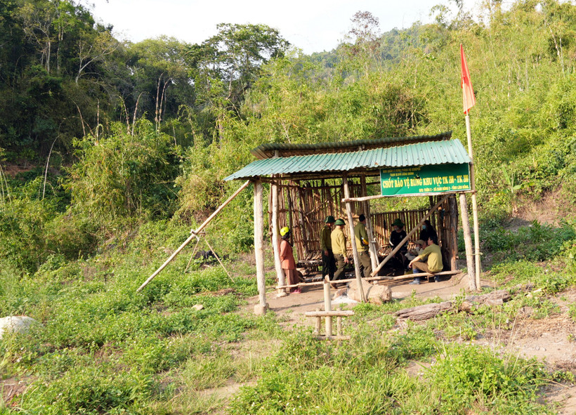 Ban Quản lý rừng phòng hộ Sêrêpốk lập chốt canh rừng tại vị trí từng xảy ra phá rừng thuộc tiểu khu 208-209. (Ảnh: Chu Quốc Hùng/TTXVN)
