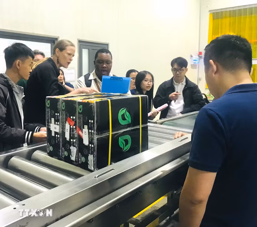 Việc vận hành công nghệ chiếu xạ X-ray sẽ giúp Nhà máy Chiếu xạ Toàn Phát tăng gấp đôi năng lực chiếu xạ trái cây tươi. (Ảnh: TTXVN phát)