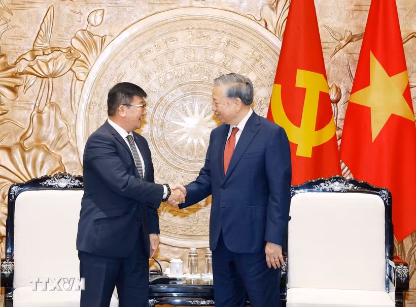 Tổng Bí thư, Chủ tịch nước Tô Lâm tiếp Đại sứ Mông Cổ tại Việt Nam Jigjee Sereejav. (Ảnh: Thống Nhất/TTXVN)